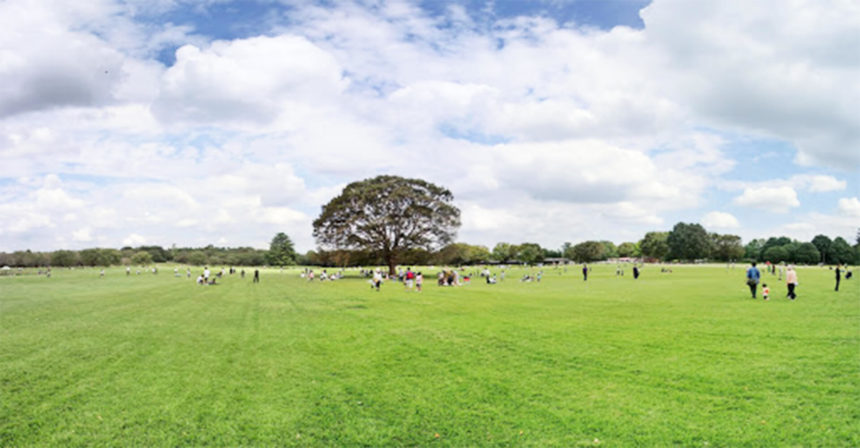 昭和記念公園ドッグラン 東京都立川市 いんぬis