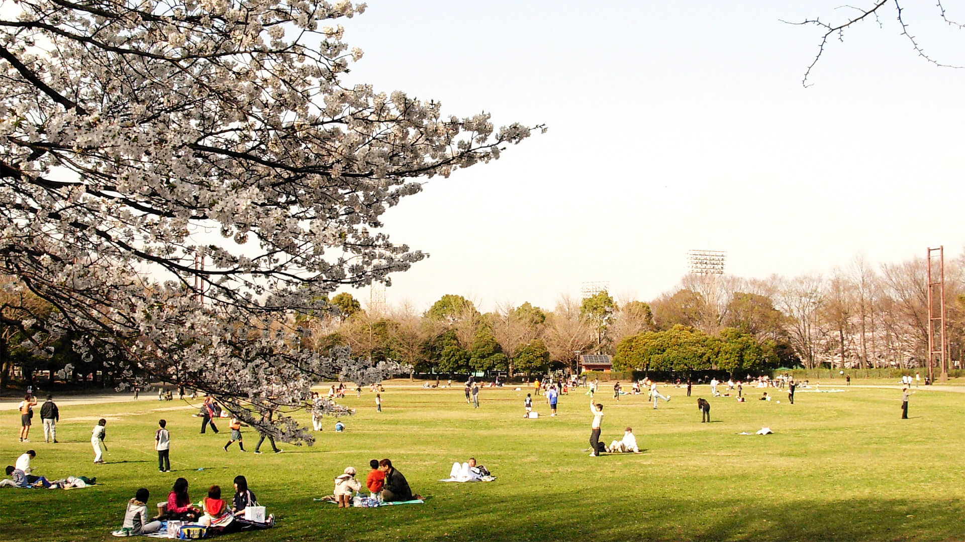 城北中央公園ドッグラン 東京都練馬区 いんぬis