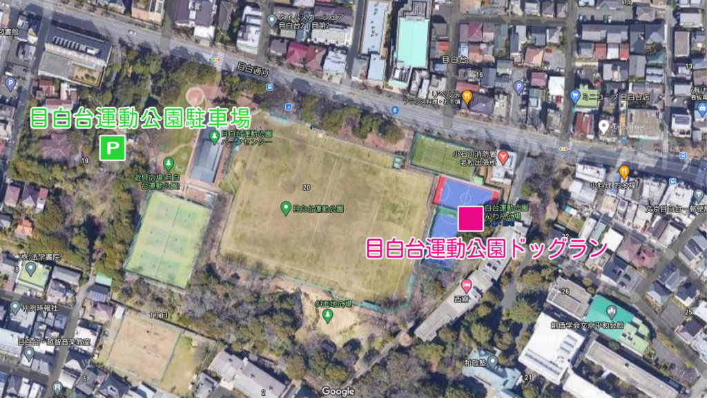 目白台運動公園ドッグラン 東京都文京区 いんぬis