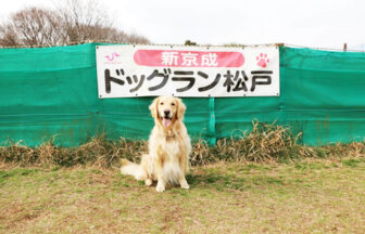 蘆花恒春園ドッグラン 東京都世田谷区 いんぬis