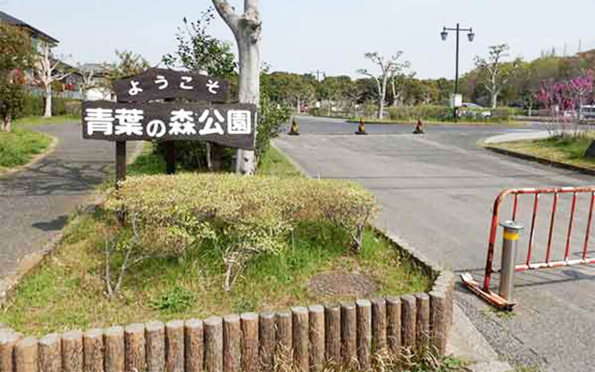 青葉の森公園ドッグラン 千葉県中央区 いんぬis